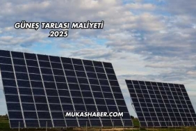 Güneş Tarlası Maliyeti 2025