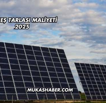Güneş Tarlası Maliyeti 2025