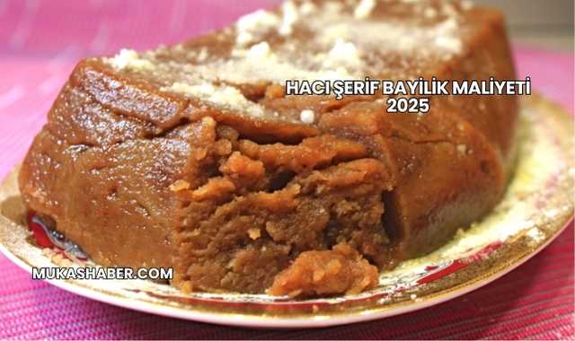 Hacı Şerif Bayilik Maliyeti 2025