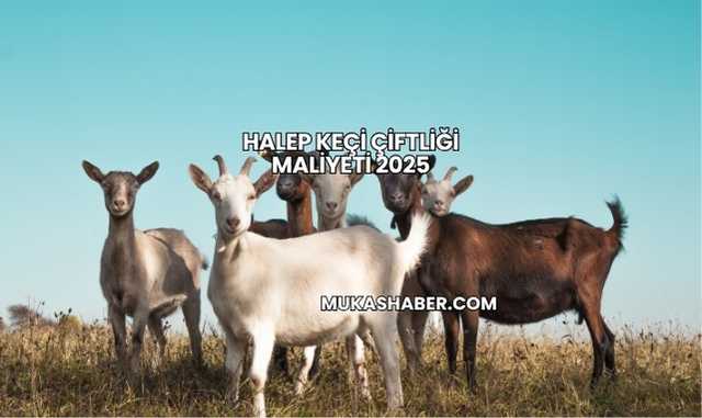 Halep Keçi Çiftliği Maliyeti 2025
