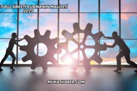 Havayolu Şirketi Kurmanın Maliyeti 2025