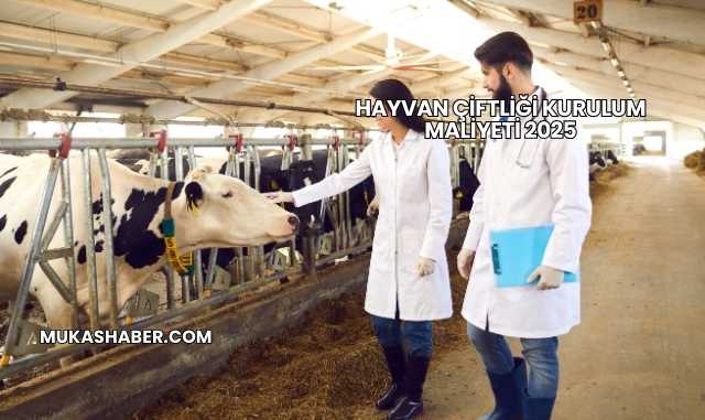 Hayvan Çiftliği Kurulum Maliyeti 2025