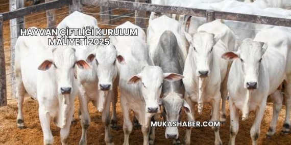 Hayvan Çiftliği Kurulum Maliyeti 2025