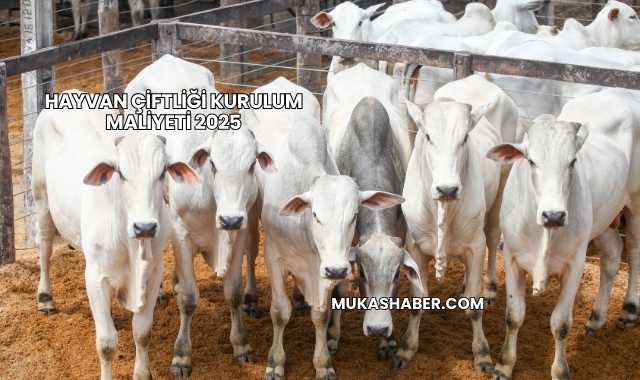 Hayvan Çiftliği Kurulum Maliyeti 2025