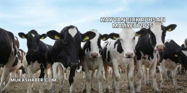 Hayvancılık Ruhsatı Maliyeti 2025