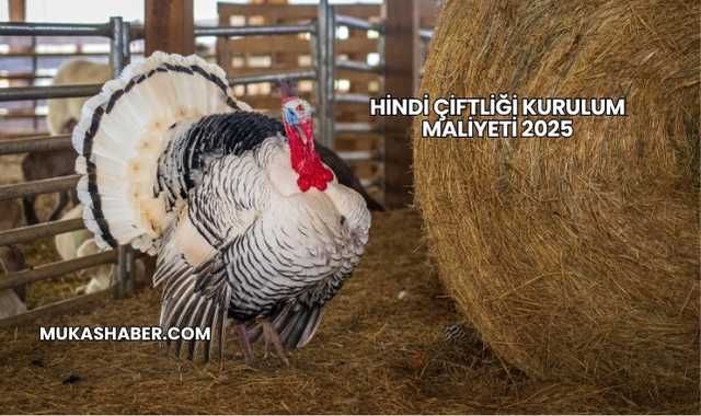 Hindi Çiftliği Kurulum Maliyeti 2025