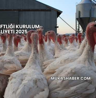 Hindi Çiftliği Kurulum Maliyeti 2025