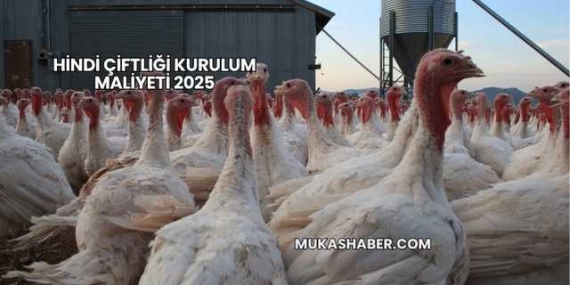 Hindi Çiftliği Kurulum Maliyeti 2025