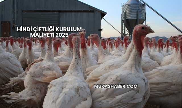 Hindi Çiftliği Kurulum Maliyeti 2025