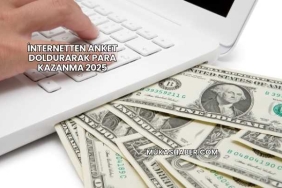 İnternetten Anket Doldurarak Para Kazanma 2025