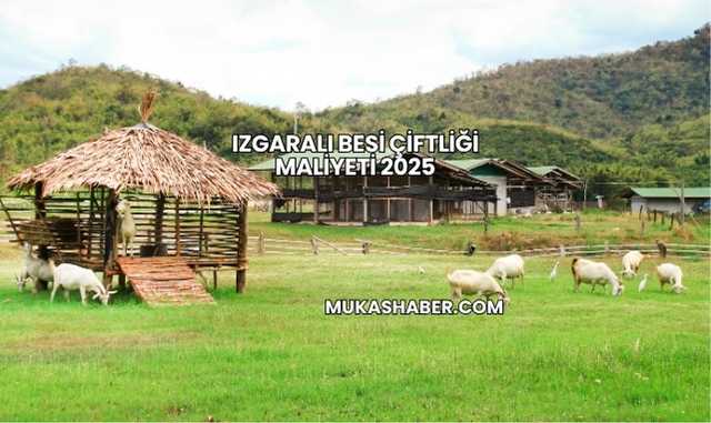 Izgaralı Besi Çiftliği Maliyeti 2025