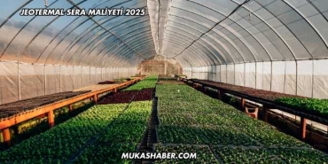 Jeotermal Sera Maliyeti 2025