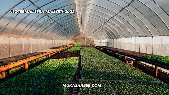 Jeotermal Sera Maliyeti 2025