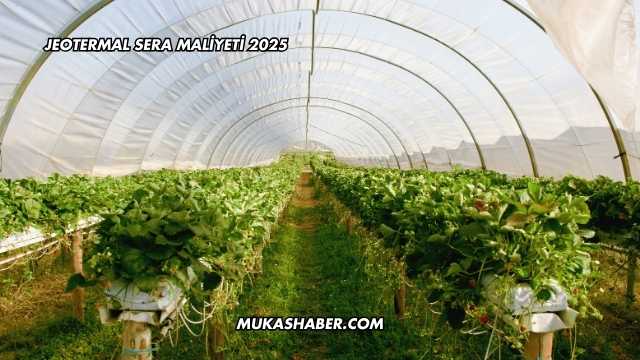 Jeotermal Sera Maliyeti 2025