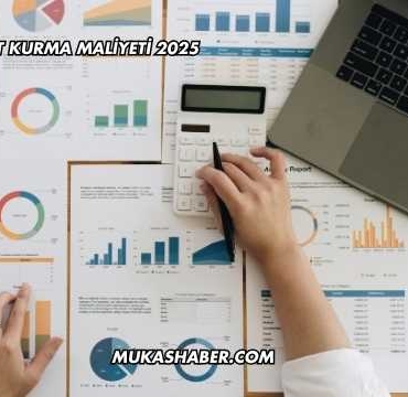 Karadağ Şirket Kurma Maliyeti 2025