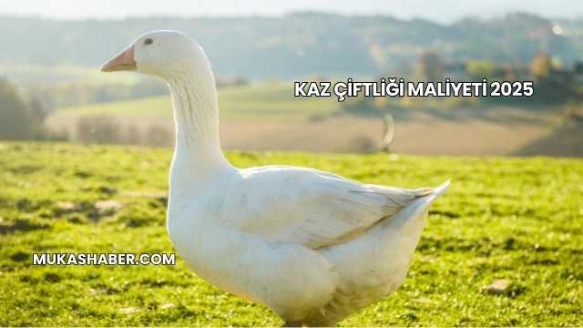 Kaz Çiftliği Maliyeti 2025