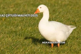 Kaz Çiftliği Maliyeti 2025