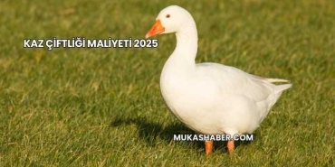 Kaz Çiftliği Maliyeti 2025