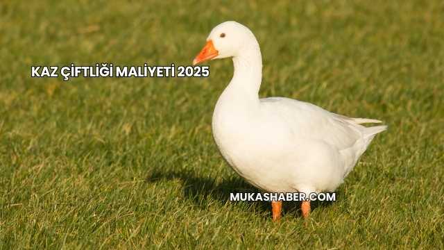 Kaz Çiftliği Maliyeti 2025