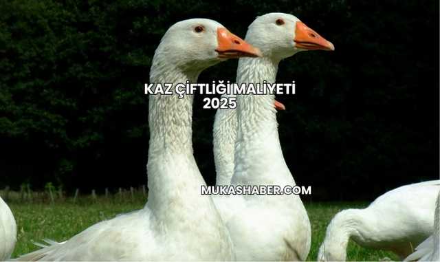 Kaz Çiftliği Maliyeti 2025