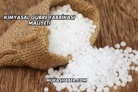 Kimyasal Gübre Fabrikası Maliyeti
