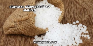 Kimyasal Gübre Fabrikası Maliyeti
