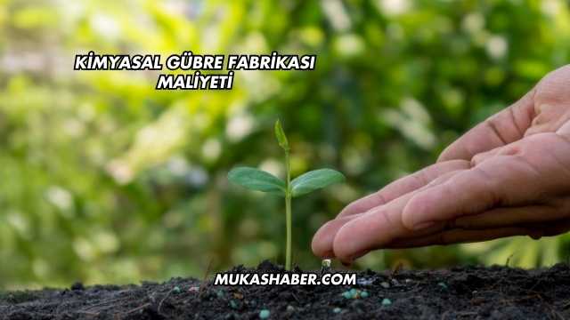 Kimyasal Gübre Fabrikası Maliyeti