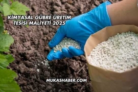 Kimyasal Gübre Üretim Tesisi Maliyeti 2025