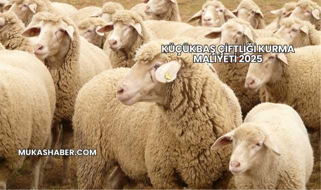 Küçükbaş Çiftliği Kurma Maliyeti 2025