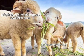 Küçükbaş Çiftliği Kurma Maliyeti 2025