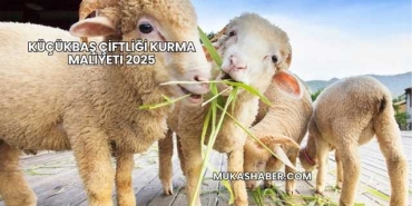 Küçükbaş Çiftliği Kurma Maliyeti 2025