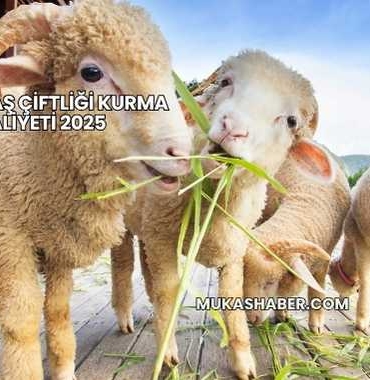 Küçükbaş Çiftliği Kurma Maliyeti 2025
