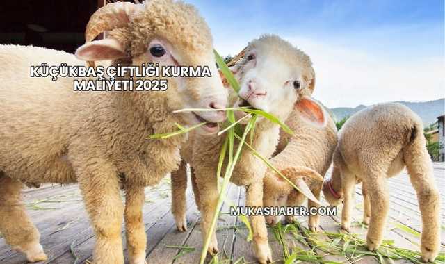 Küçükbaş Çiftliği Kurma Maliyeti 2025