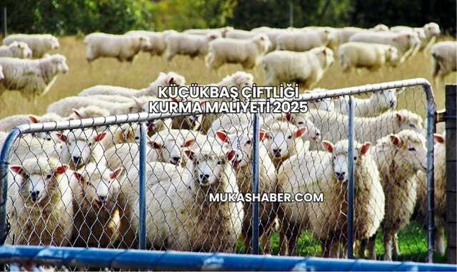 Küçükbaş Çiftliği Kurma Maliyeti 2025