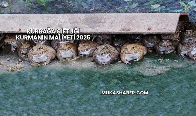 Kurbağa Çiftliği Kurmanın Maliyeti 2025