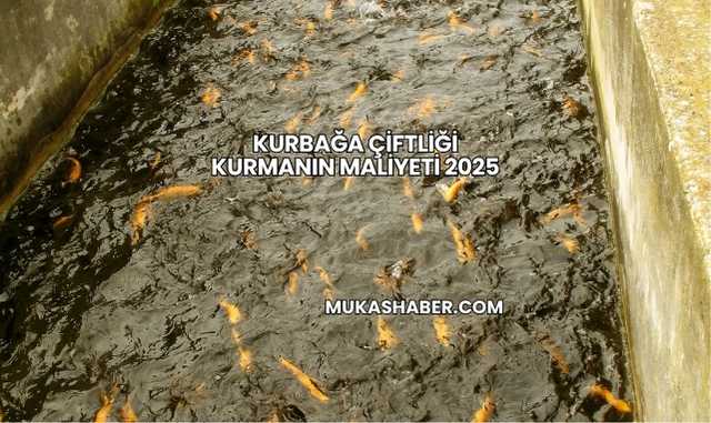 Kurbağa Çiftliği Kurmanın Maliyeti 2025