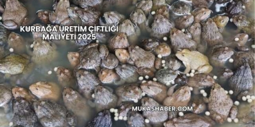 Kurbağa Üretim Çiftliği Maliyeti 2025