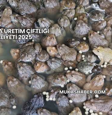 Kurbağa Üretim Çiftliği Maliyeti 2025