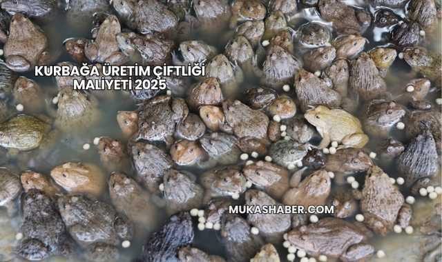 Kurbağa Üretim Çiftliği Maliyeti 2025