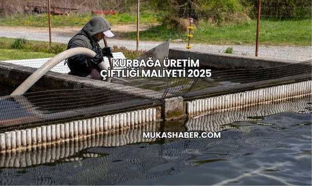 Kurbağa Üretim Çiftliği Maliyeti 2025