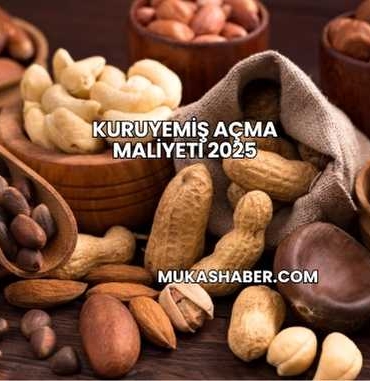 Kuruyemiş Açma Maliyeti 2025