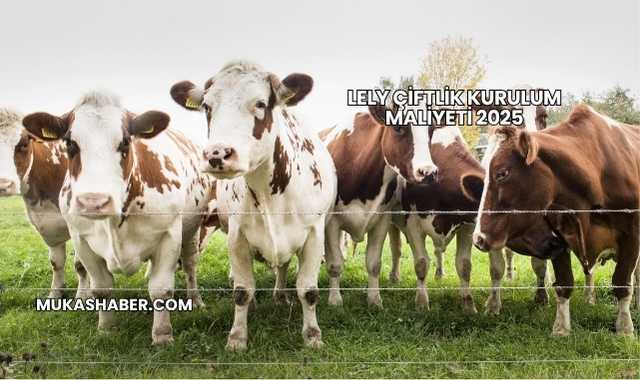Lely Çiftlik Kurulum Maliyeti 2025