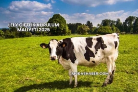 Lely Çiftlik Kurulum Maliyeti 2025