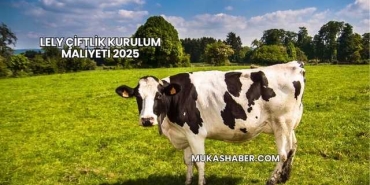 Lely Çiftlik Kurulum Maliyeti 2025