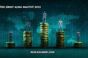 Limited Şirket Açma Maliyeti 2025