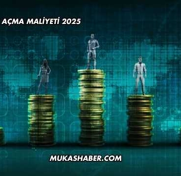 Limited Şirket Açma Maliyeti 2025