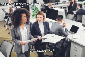 Limited Şirket Hisse Devri Nedir, Nasıl Yapılır?