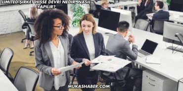 Limited Şirket Hisse Devri Nedir, Nasıl Yapılır?