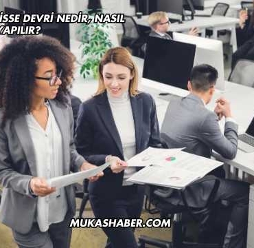 Limited Şirket Hisse Devri Nedir, Nasıl Yapılır?