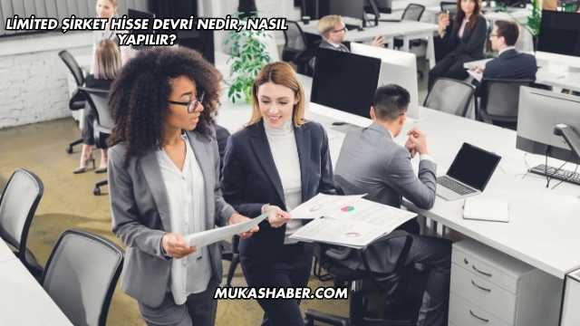 Limited Şirket Hisse Devri Nedir, Nasıl Yapılır?